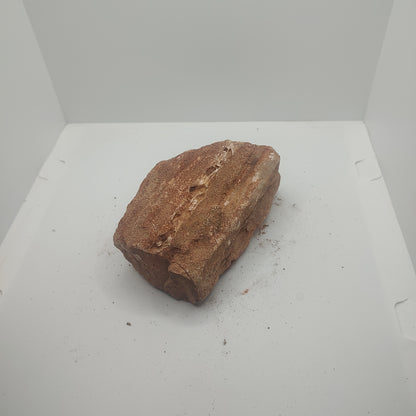 Small Petrified Wood (676g)