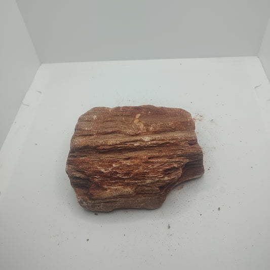Small Petrified Wood (582g
