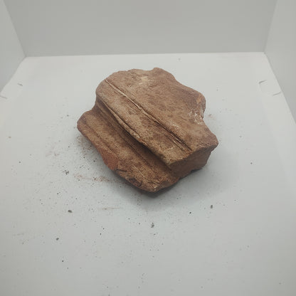 Small Petrified Wood (582g