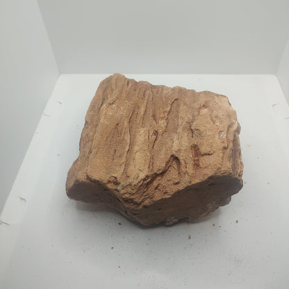 Large Petrified Wood (2.3kg)