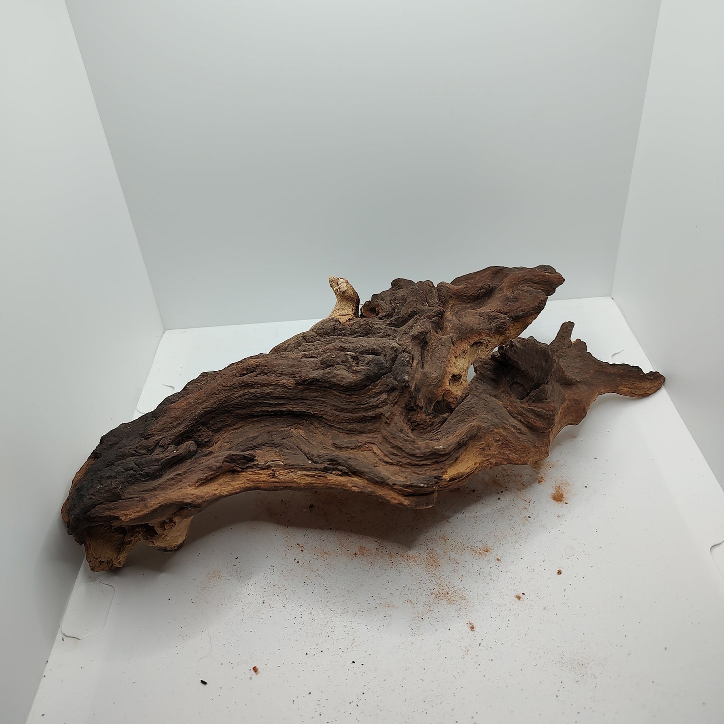 Medium Blob Mopani Wood