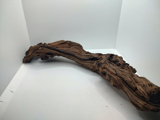 Medium 15" Mopani Wood