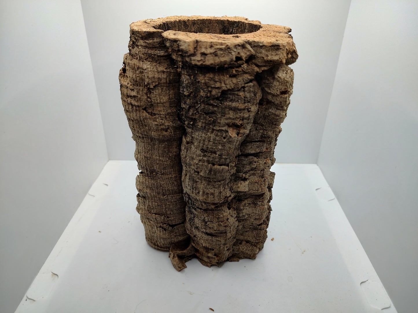 Medium Trunk Cork Round