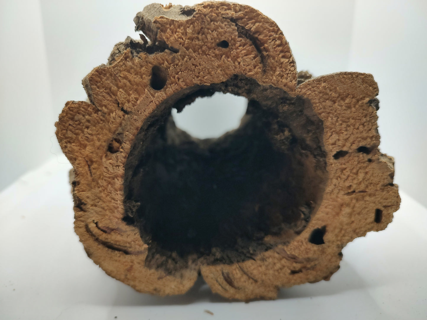 Medium Trunk Cork Round