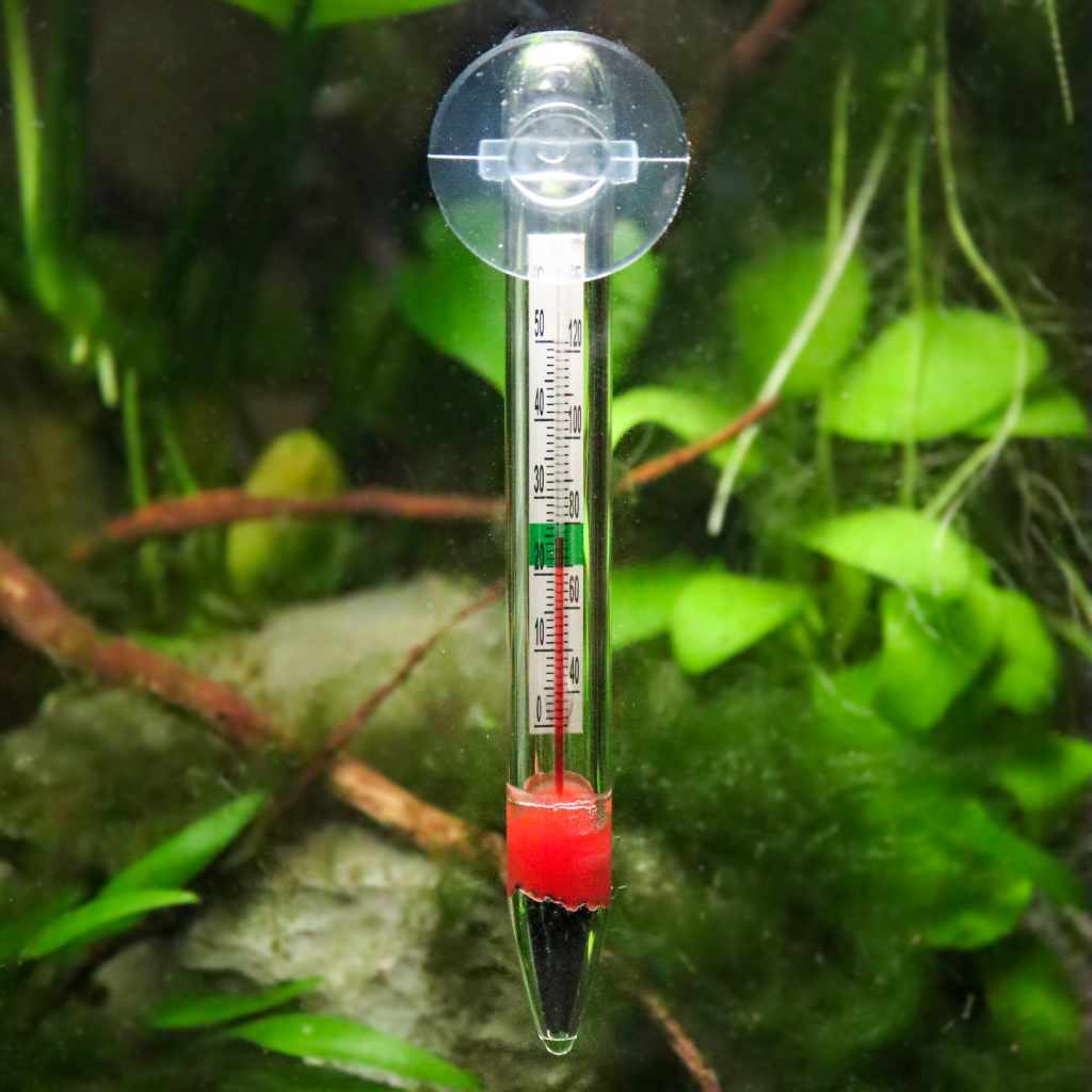 Floating Glass Thermometer